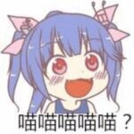 小左的头像